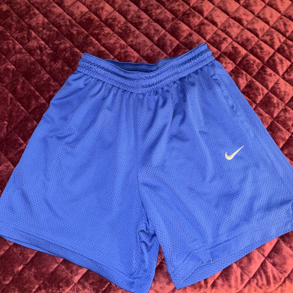 Nike Royal Blue Mesh Shorts